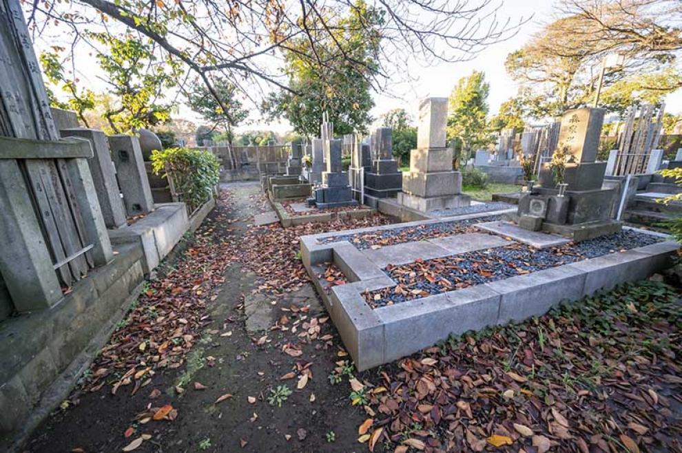 文 / 碧陽健康國際黃瑩秋