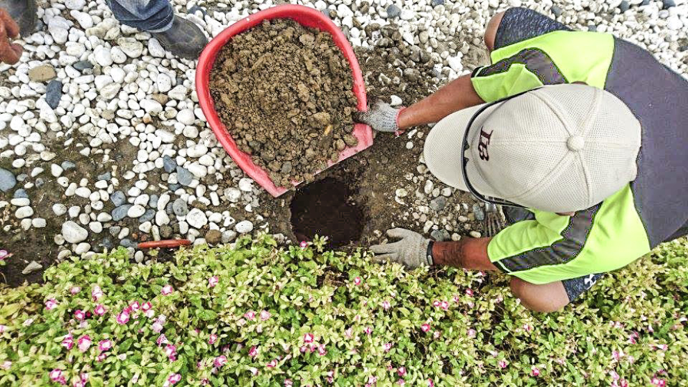 台灣環保自然葬資訊