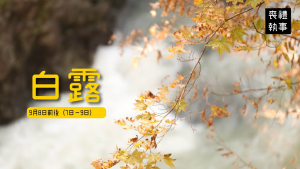 二十四節氣 白露