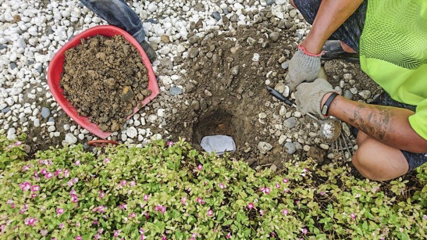 高雄市首座寵物樹灑紀念園區明年初啟用